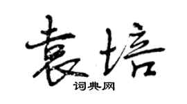 曾庆福袁培行书个性签名怎么写