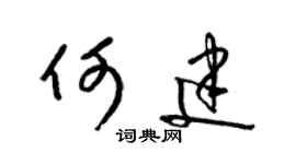 梁锦英何建草书个性签名怎么写