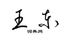 梁锦英王东草书个性签名怎么写