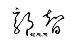 梁锦英郭智草书个性签名怎么写