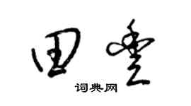 梁锦英田丰草书个性签名怎么写