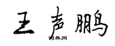 曾庆福王声鹏行书个性签名怎么写