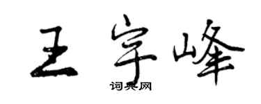曾庆福王宇峰行书个性签名怎么写