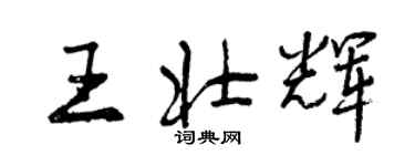 曾庆福王壮辉行书个性签名怎么写