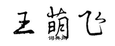 曾庆福王萌飞行书个性签名怎么写