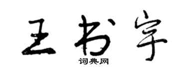 曾庆福王书宇行书个性签名怎么写