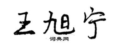 曾庆福王旭宁行书个性签名怎么写