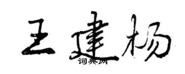 曾庆福王建杨行书个性签名怎么写