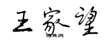曾庆福王家望行书个性签名怎么写
