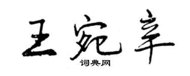 曾庆福王宛辛行书个性签名怎么写