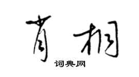 梁锦英肖桐草书个性签名怎么写