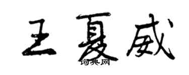 曾庆福王夏威行书个性签名怎么写