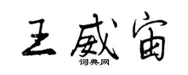 曾庆福王威宙行书个性签名怎么写