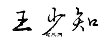 曾庆福王少知行书个性签名怎么写