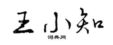 曾庆福王小知行书个性签名怎么写