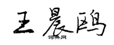 曾庆福王晨鸥行书个性签名怎么写