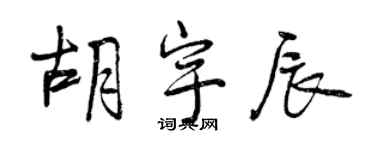 曾庆福胡宇辰行书个性签名怎么写