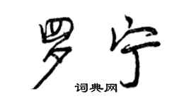曾庆福罗宁行书个性签名怎么写