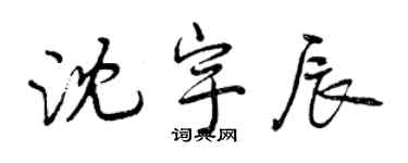 曾庆福沈宇辰行书个性签名怎么写