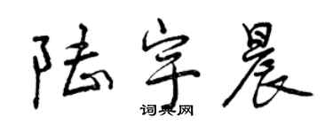 曾庆福陆宇晨行书个性签名怎么写
