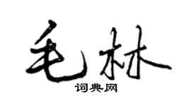 曾庆福毛林行书个性签名怎么写