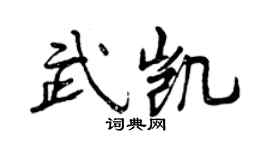 曾庆福武凯行书个性签名怎么写