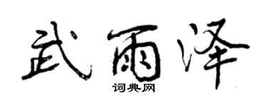 曾庆福武雨泽行书个性签名怎么写