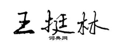 曾庆福王挺林行书个性签名怎么写