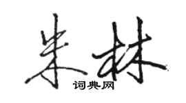 骆恒光朱林行书个性签名怎么写