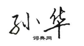 骆恒光孙华行书个性签名怎么写