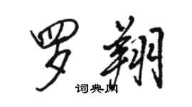 骆恒光罗翔行书个性签名怎么写