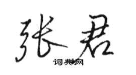 骆恒光张君行书个性签名怎么写