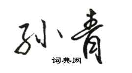 骆恒光孙青行书个性签名怎么写