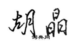 骆恒光胡晶行书个性签名怎么写