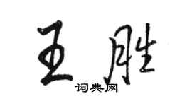 骆恒光王胜行书个性签名怎么写