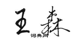 骆恒光王森行书个性签名怎么写