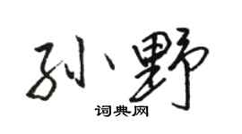骆恒光孙野行书个性签名怎么写
