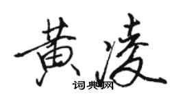 骆恒光黄凌行书个性签名怎么写