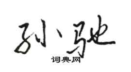骆恒光孙驰行书个性签名怎么写