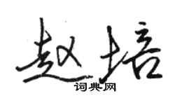 骆恒光赵培行书个性签名怎么写