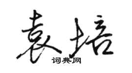 骆恒光袁培行书个性签名怎么写