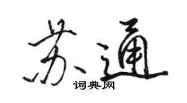 骆恒光苏通行书个性签名怎么写