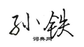 骆恒光孙铁行书个性签名怎么写