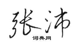 骆恒光张沛行书个性签名怎么写