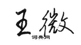 骆恒光王微行书个性签名怎么写