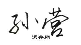 骆恒光孙营行书个性签名怎么写