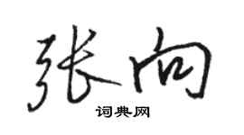 骆恒光张向行书个性签名怎么写