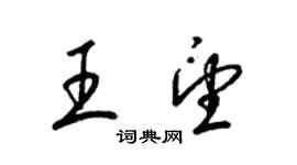 梁锦英王望草书个性签名怎么写