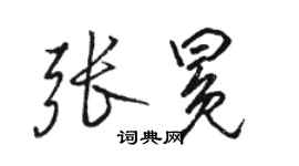 骆恒光张冕行书个性签名怎么写