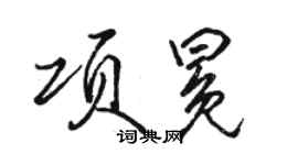 骆恒光项冕行书个性签名怎么写